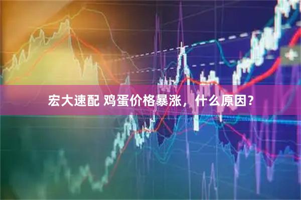 宏大速配 鸡蛋价格暴涨，什么原因？